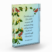 En de vrede van God die het Bijbelversum overstijg Fotoblokken (Links)