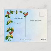 En de vrede van God... Phil 4:7 Briefkaart (Achterkant)