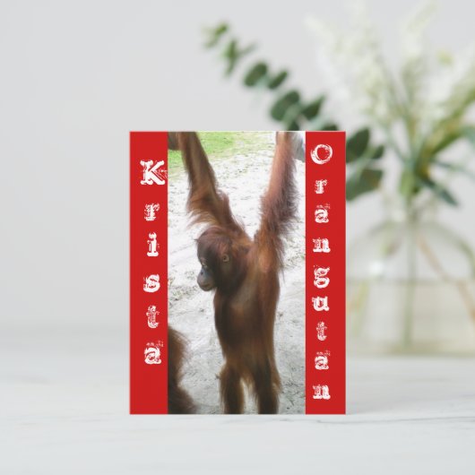 En de winnaar is Krista Orangutan Briefkaart (Staand voorkant)