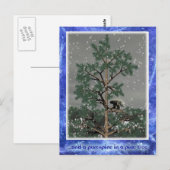 En een Porcupine in een pijnboom Briefkaart (Voorkant / Achterkant)