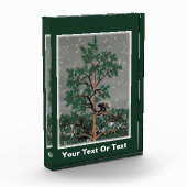 En een Porcupine in een pijnboom Fotoblokken (Links)