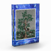 En een Porcupine in een pijnboom Fotoblokken (Links)