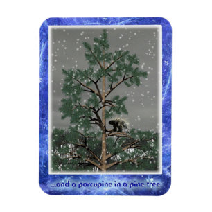 En een Porcupine in een pijnboom Magneet