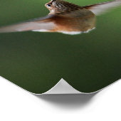 - en fushiaflankerend Plant afdrukken Poster (Hoek)