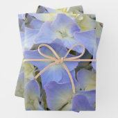  en kleurrijke lichtblauwe brandkranen inpakpapier vel (In situ)