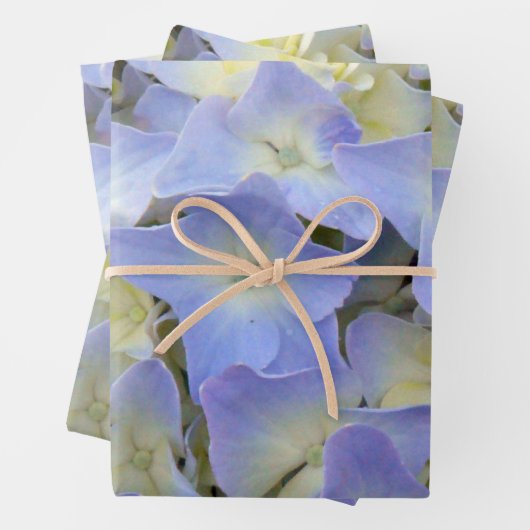  en kleurrijke lichtblauwe brandkranen inpakpapier vel (In situ)