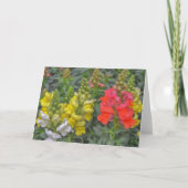  en kleurrijke Snapdragon Flower Art Kaart (Voorkant)