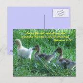 En mijn God zal al je behoeften voorzien volgens Briefkaart (Voorkant / Achterkant)