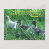 En mijn God zal al je behoeften voorzien volgens Briefkaart (Voorkant)