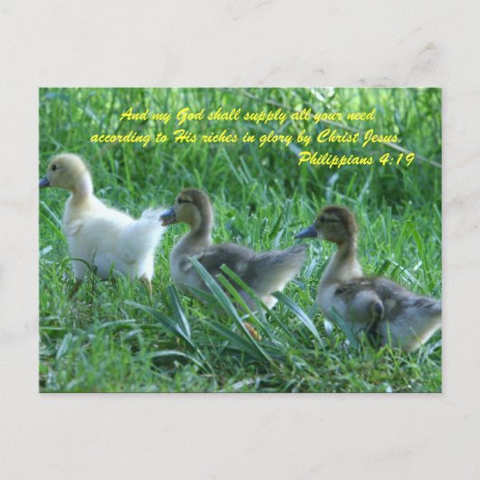 En mijn God zal al je behoeften voorzien volgens Briefkaart (Voorkant)