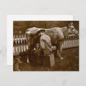 En Nicodemus, de kat werd door Wayside gevleid Briefkaart (Voorkant / Achterkant)