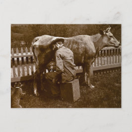 En Nicodemus, de kat werd door Wayside gevleid Briefkaart