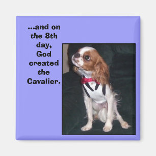 En op de 8de dag schiep God de cavalier magnet