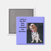 en op de 8e dag schiep God de hooghartige magneet (Voorkant / Achterkant)