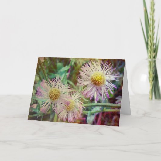  en roze kaart (Voorkant)