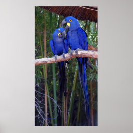 En toen zei ik: poster