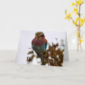  en trots kaart (Gele Bloem)