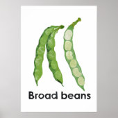 En - Tuinbonen Poster (Voorkant)