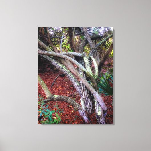 Enchanted Clearing Canvas Afdruk (Voorkant)