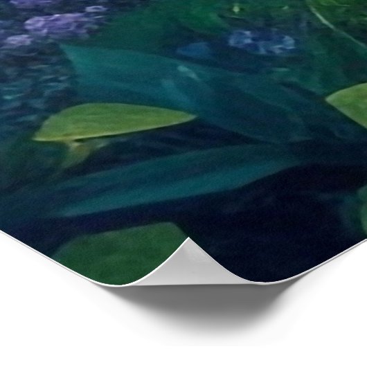 Enchanted Forest Downloadable Artwork Poster Print (Hoek)