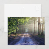 Enchanted Forest Road 2 Briefkaart (Voorkant / Achterkant)