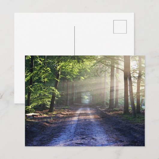 Enchanted Forest Road 2 Briefkaart (Voorkant / Achterkant)