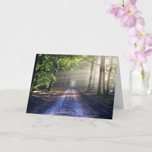 Enchanted Forest Road 2 Kaart (Orchidee)