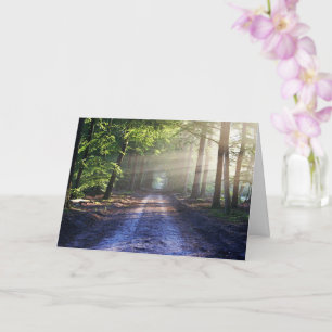 Enchanted Forest Road 2 Kaart