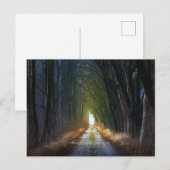 Enchanted Forest Road 3 Briefkaart (Voorkant / Achterkant)