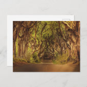 Enchanted Forest Road 4 Briefkaart (Voorkant / Achterkant)