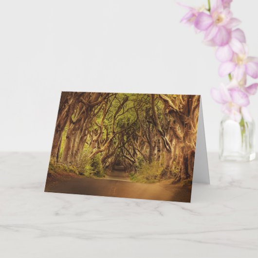 Enchanted Forest Road 4 Kaart (Orchidee)