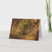Enchanted Forest Road 4 Kaart (Voorkant)