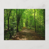 Enchanted Forest Road 5 Briefkaart (Voorkant)