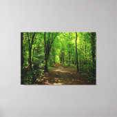 Enchanted Forest Road 5 Canvas Afdruk (Voorkant)