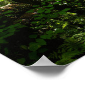 Enchanted Forest Road 5 Poster (Hoek)