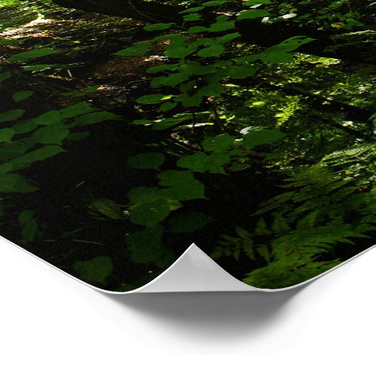 Enchanted Forest Road 5 Poster (Hoek)