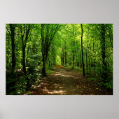 Enchanted Forest Road 5 Poster (Voorkant)