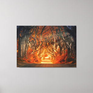 Enchanted Forest Road Canvas Afdruk