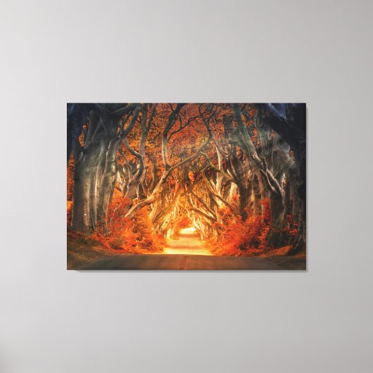 Enchanted Forest Road Canvas Afdruk (Voorkant)