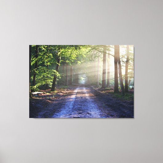 Enchanted Forest Road Canvas Afdruk (Voorkant)
