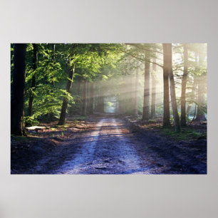 Enchanted Forest Road Poster