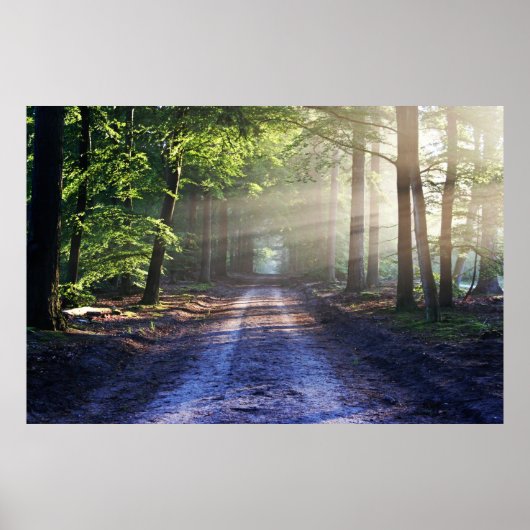 Enchanted Forest Road Poster (Voorkant)
