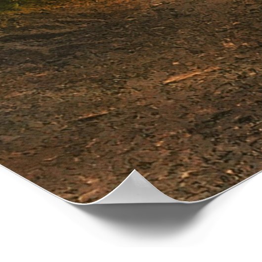 Enchanted Forest Road Poster (Hoek)