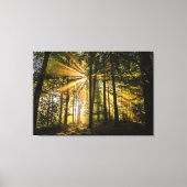Enchanted Forest Sun Rays 1 Canvas Afdruk (Voorkant)