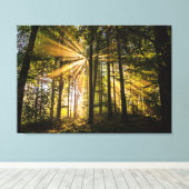 Enchanted Forest Sun Rays 1 Canvas Afdruk (Insitu (Houten vloer))