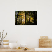 Enchanted Forest Sun Rays 1 Poster (Keuken)