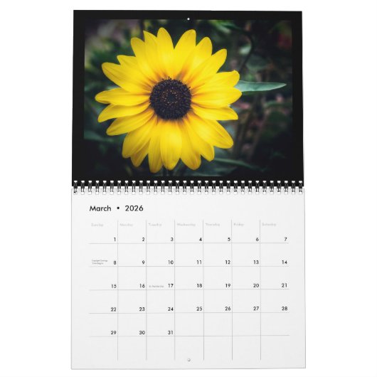 Enchanted Garden 12-Month Calendar Kalender (Mar 2026)