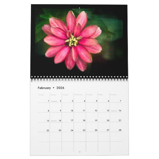 Enchanted Garden 12-Month Calendar Kalender (Feb 2026)