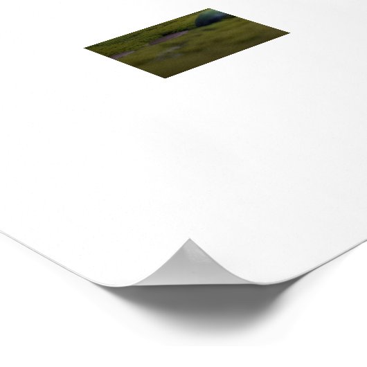 Enchanted Mushroom House Poster (Hoek)