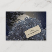 Enchanted Night Hotel Accommodatie Insert-kaarten Informatiekaartje (Achterkant)